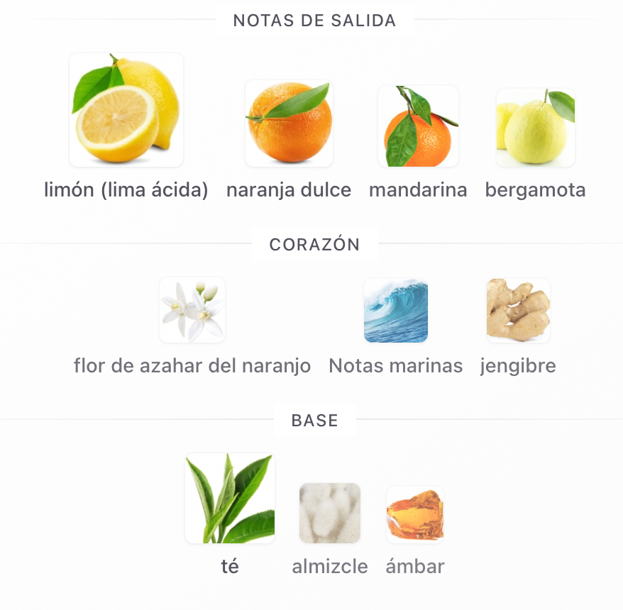 ODISSEY LIMONI